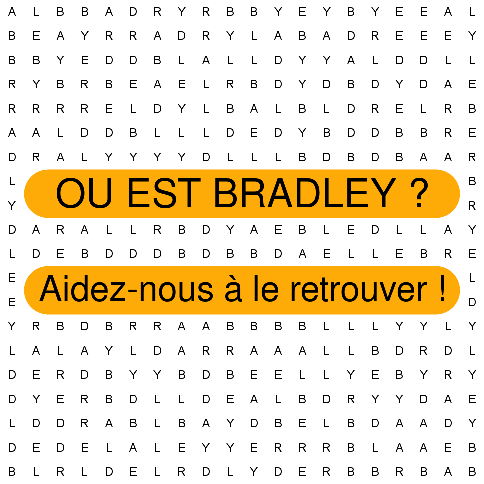 BRADLEY