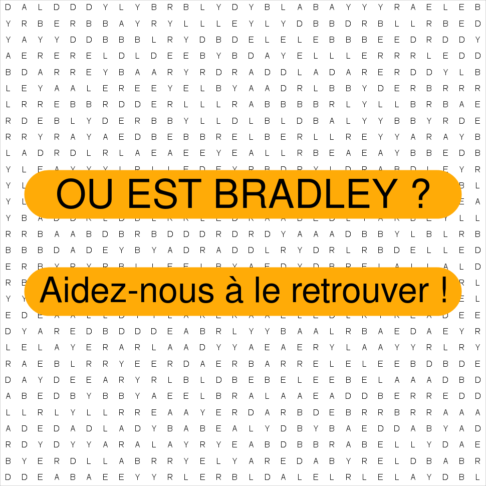 BRADLEY